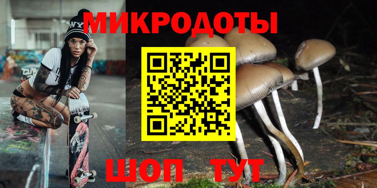 Псилоцибиновые грибы прущие грибы Мелеуз